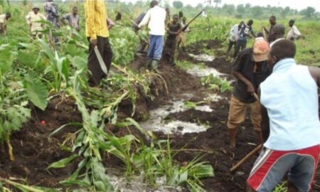 NEMA Detains two individuals for wetland degradation