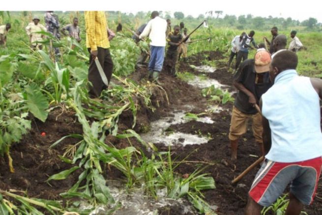 NEMA Detains two individuals for wetland degradation